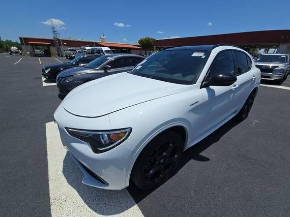 ALFA ROMEO STELVIO 2022 ZASPAKBN3N7D26011 image